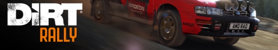 Dirt Rally Series