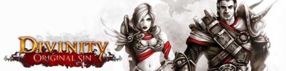 Divinity Series