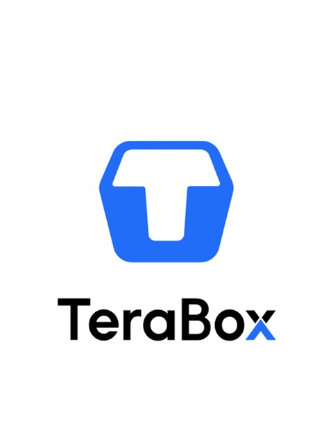 TeraBox Premium Subscription