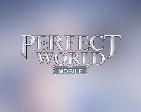 Perfect World Gift Card
